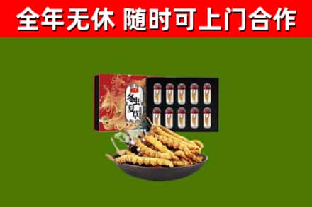 河池市烟酒回收冬虫夏草礼盒.jpg